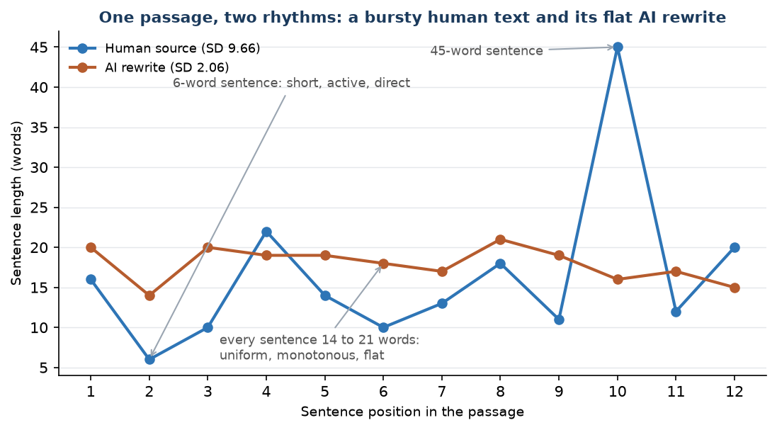 Figure F2. Sentence lengths across one text and its rewrite. The human line is bursty and direct. The AI line is uniform, monotonous, and flat.